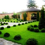 IF