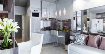 design_kvartiri_foto2